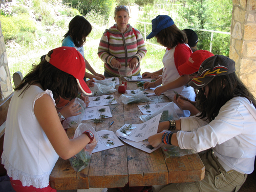 ACTIVITATS COSMOF&Iacute;SICA-HERBARIO